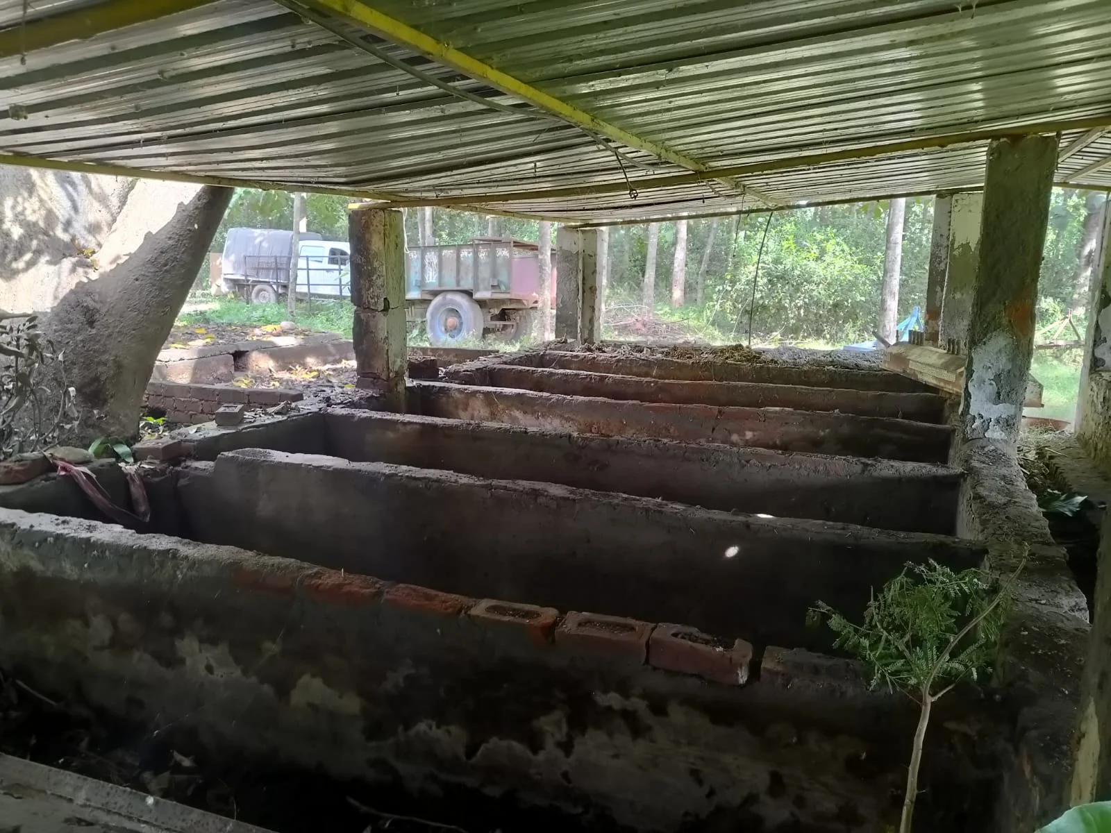 Vermicomposting: A Complete Guide to Organic Manure whatsapp image 2026 02 25 at 1.19.05 am